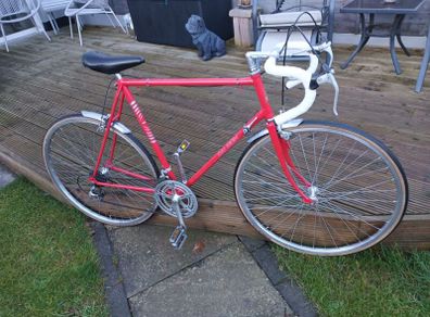 Fully Restored Raleigh 10 Speed For Sale in Laytown, Meath from vinosmth