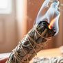 Natural Beauty - excellent for aromatherapy, medication & purification Image 4