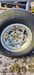Alloy wheels x4