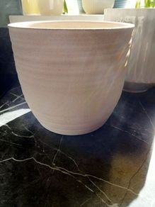 Medium plant pots x 2