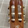 Ortega Acoustic Guitar Image 4
