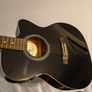 Electro-Acoustic Guitar and Stagg Gig Bag Image 3