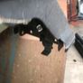 Fiat Punto Roof Rack Image 3
