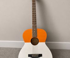 Freeman Irish Flag Accoustic Guitar