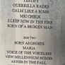 Rage Against The Machine - The Battle Of Los Angeles Image 7