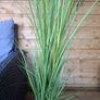 Artifical grass plant Image 4