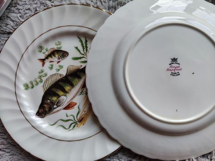 Set of 6 vintage plates