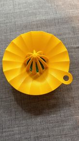 Lemon Squeezer