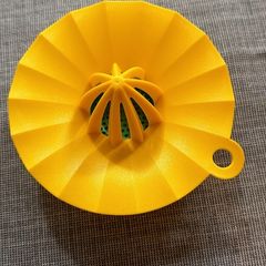 Lemon Squeezer