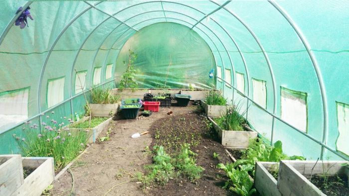 New 20 X 10FT Pro Polytunnel Galvanised With Door, FREE Delivery