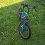 Muddy Fox 20 Inch kids Bike in good condition Image 2
