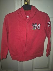 Disneyland paris mini hoodie