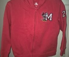 Disneyland paris mini hoodie