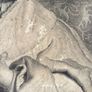 Antique etching in gilt frame Image 5