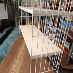 shelf shelves shelving