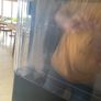 Anova precision oven v1 Image 3