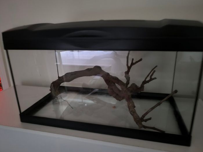 45L Aquarium Setup, Full bundle, Needs Reseal