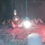 chicks and ducklings Image 2