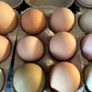 Hen Eggs Image 5