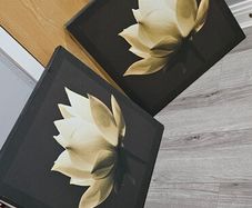 2 Canvas pictures