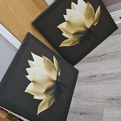 2 Canvas pictures