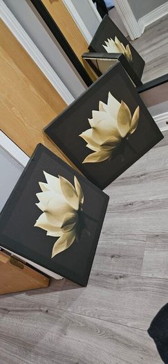 2 Canvas pictures