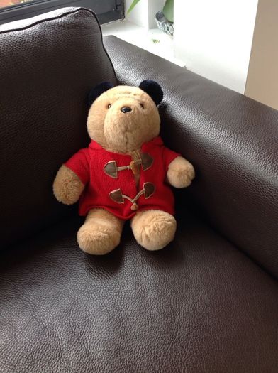 Paddington Bear
