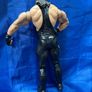 wrestler undertaker Image 2