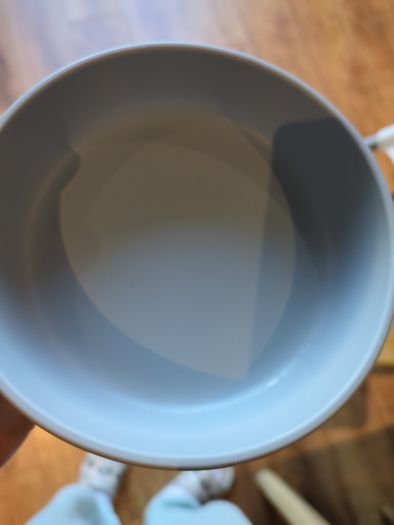 Doidy cup and suction plate for feeding.