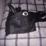 Horse Mask Image 5
