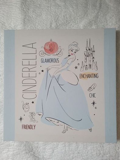 Wall Decoration - 2 Disney princess canvas pictures - Cinderella and Belle.