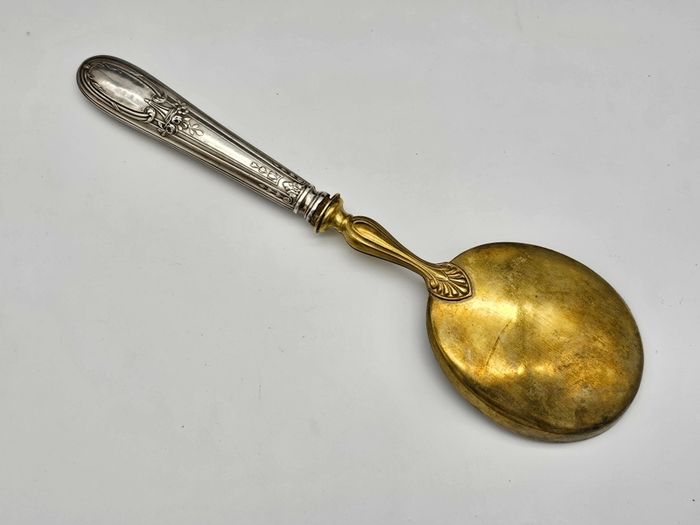 Antique 1800s Swiss Large Cream Spoon with Silver Handle