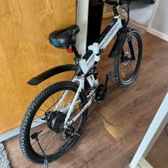 500 watt Electric mountain bike