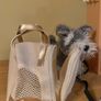 Our Generation Pet Shop Image 5