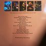 Judas Priest double live album vinyl Image 2