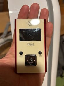 Blightly digital red FM / DAB portable radio