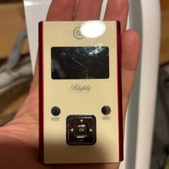 Blightly digital red FM / DAB portable radio