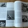 Flower Arranging Books Image 9