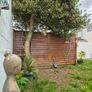 Shed,metal Image 4