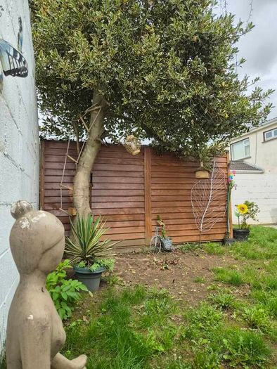 Shed,metal