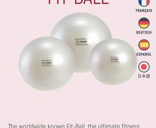 Fit ball and pump