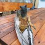 Vintage Native American Canoe Figure Image 4