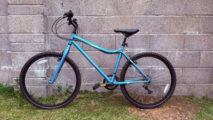 Coyote Callisto XR 18" Mountain Bike