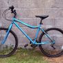 Coyote Callisto XR 18" Mountain Bike Image 2