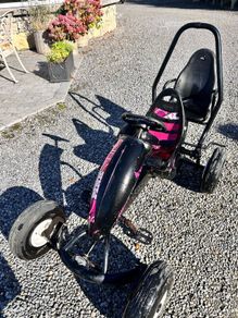 Berg go kart