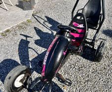 Berg go kart