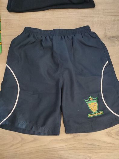 Bunscoil Chriost Ri