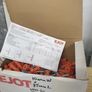 Heavy duty plug and screw anchor Image 4