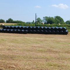 Silage