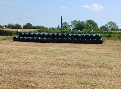 Silage
